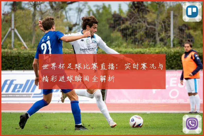 世界杯足球比赛直播：实时赛况与精彩进球瞬间全解析